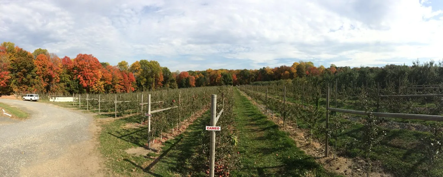 work photo from rivervalleyfencing.com