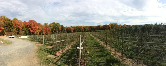 work photo from rivervalleyfencing.com