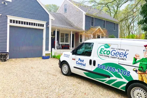EcoGeek Pest Control researched project photo