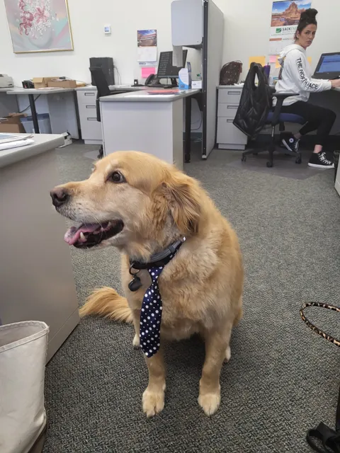 work photo from Google listing