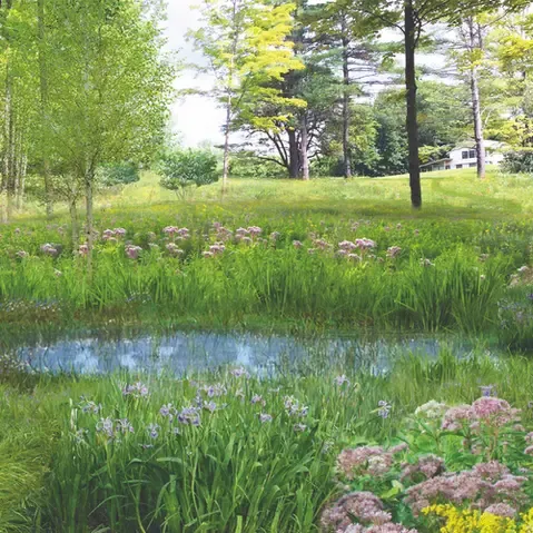 work photo from landscapefieldwork.com