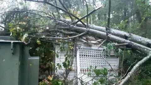 A tree has fallen on top of a house.