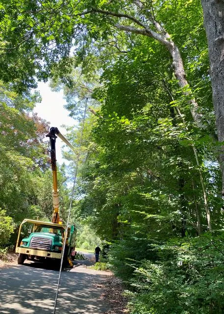 work photo from rttreeremoval.com