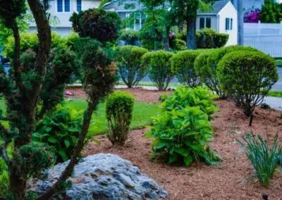 Front yard landscaping with trimmed shrubs, mulch beds, and stone accents