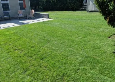 Pool Removal and Patio Installation