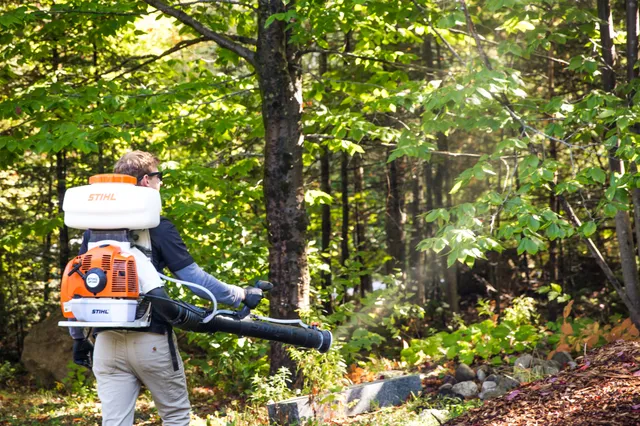 Green Pest Defense work photo