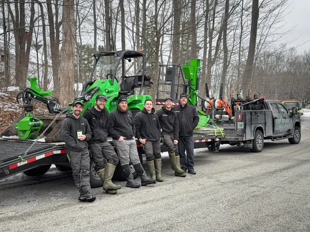Top Branch Tree Service work photo