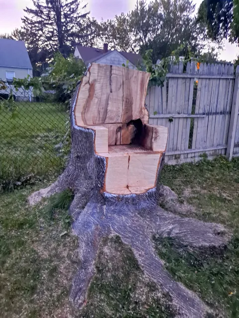 The Davey Tree Expert Company work photo
