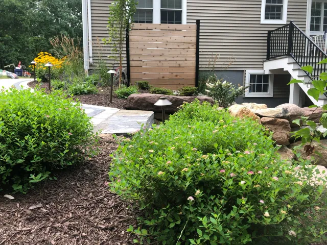 A landscaped backyard garden with flowering shrubs, rocks, pathway lighting, and a wooden privacy fence