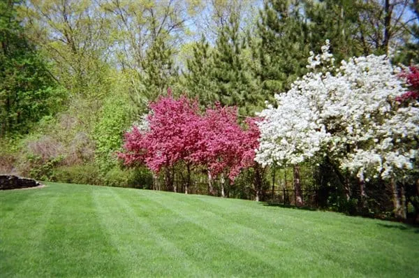 work photo from arbor-turf.com