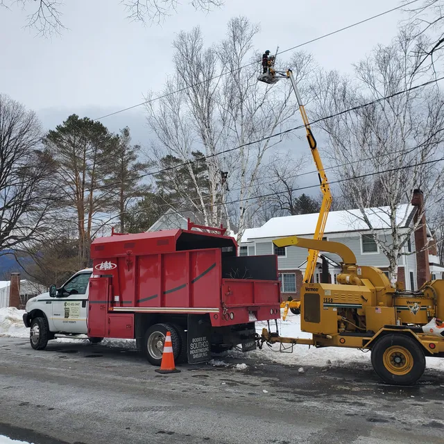 North Adams Tree and Landscape LLC work photo