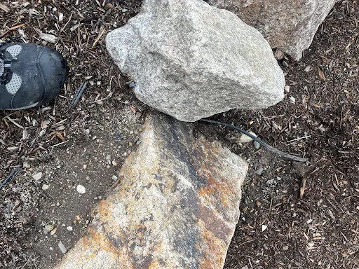 Review photo by Papillon Properties