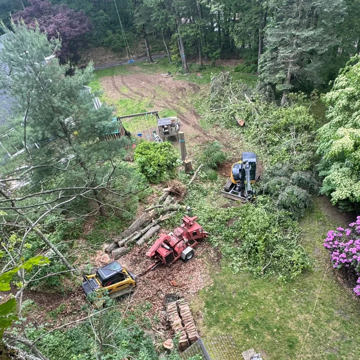 work photo from dovercountrytrees.com