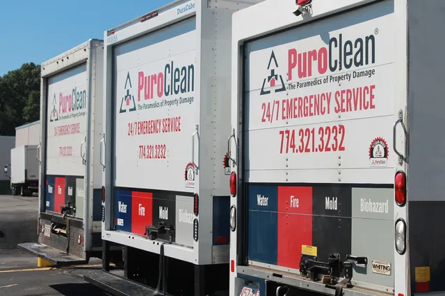 PuroClean Certified Restoration Specialists