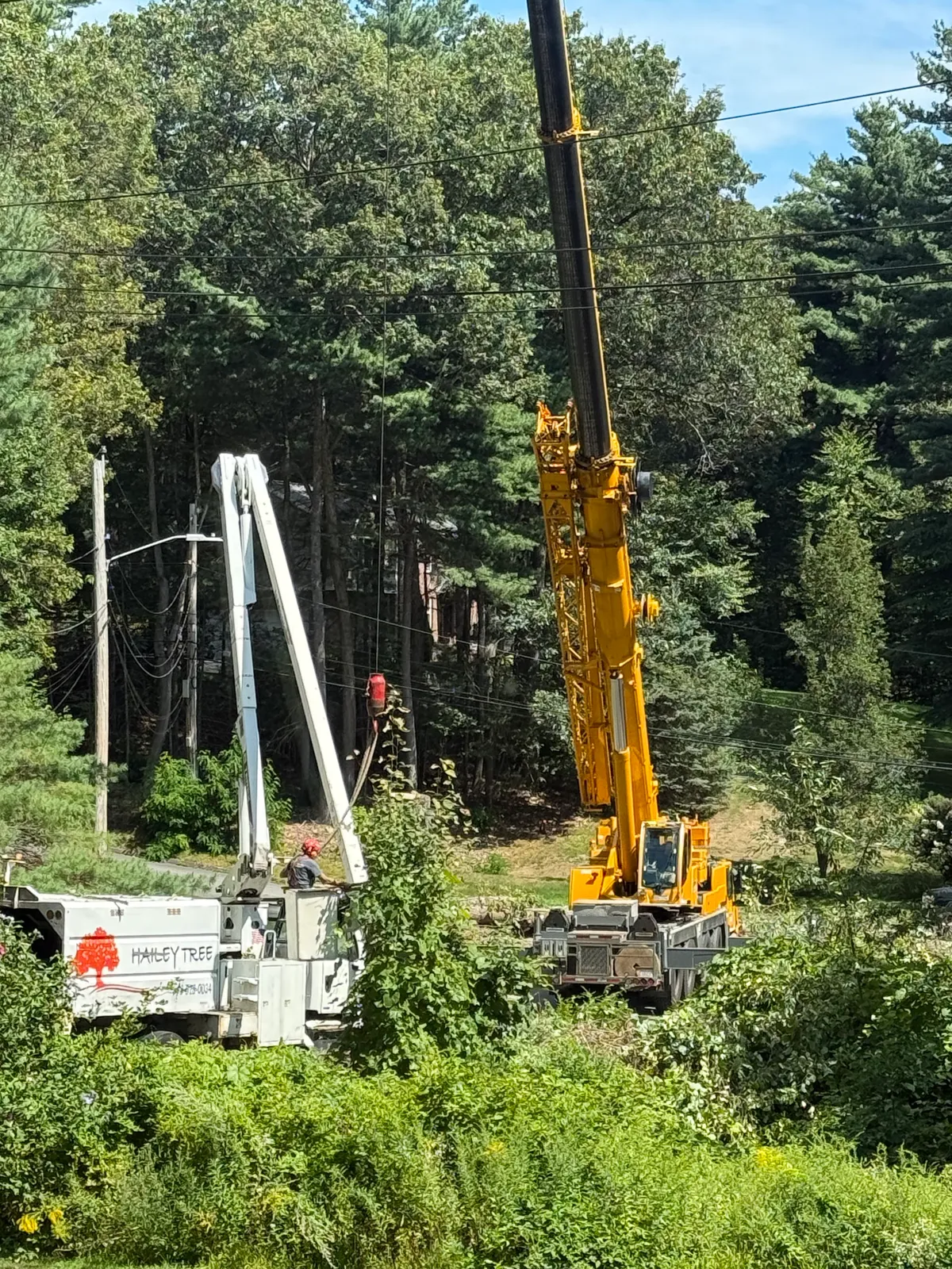 work photo from Google listing