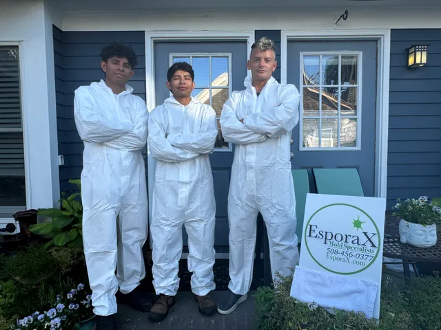 EsporaX Mold Specialists work photo