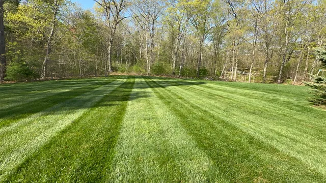 Flora Lawn & Landscaping Inc work photo