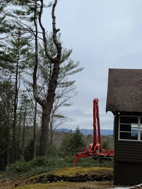 work photo from jwlandclearing.com