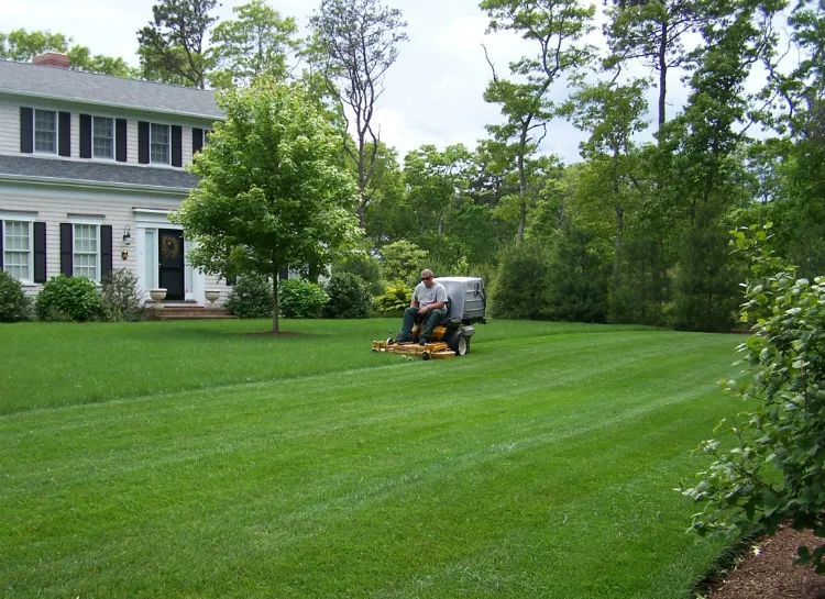 work photo from colsonslandscapingcapecod.com