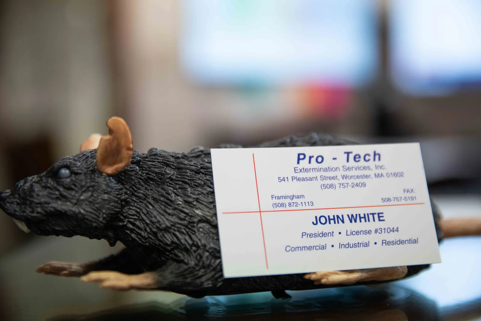 work photo from protechpestcontrol.com