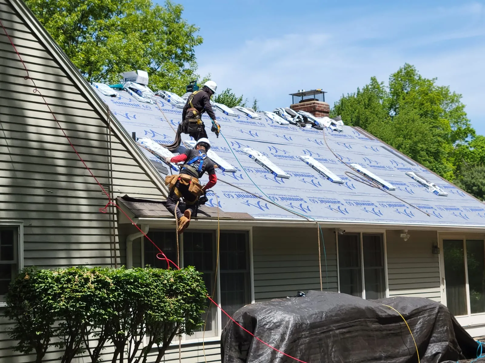 work photo from Google listing
