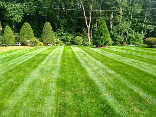 dmc landscaping work image 1.jpg