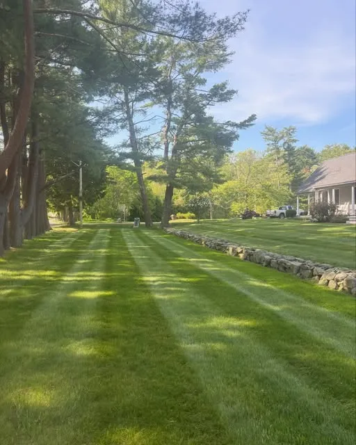 Rams Landscaping researched project photo