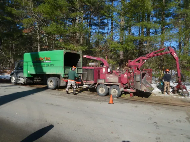 Bradley tree and landscape chipper street view