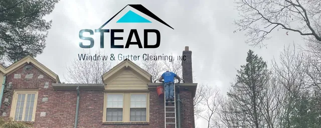 Stead Window And Gutter Cleaning work photo