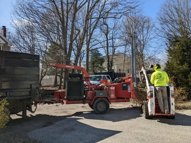 Chinchilla Landscaping & Tree Services, LLC work photo