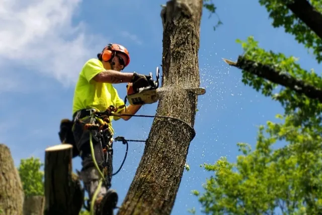 work photo from paverprofessionals.com