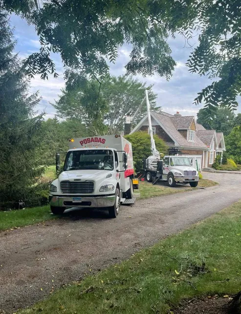 Posada's Landscaping Llc work photo