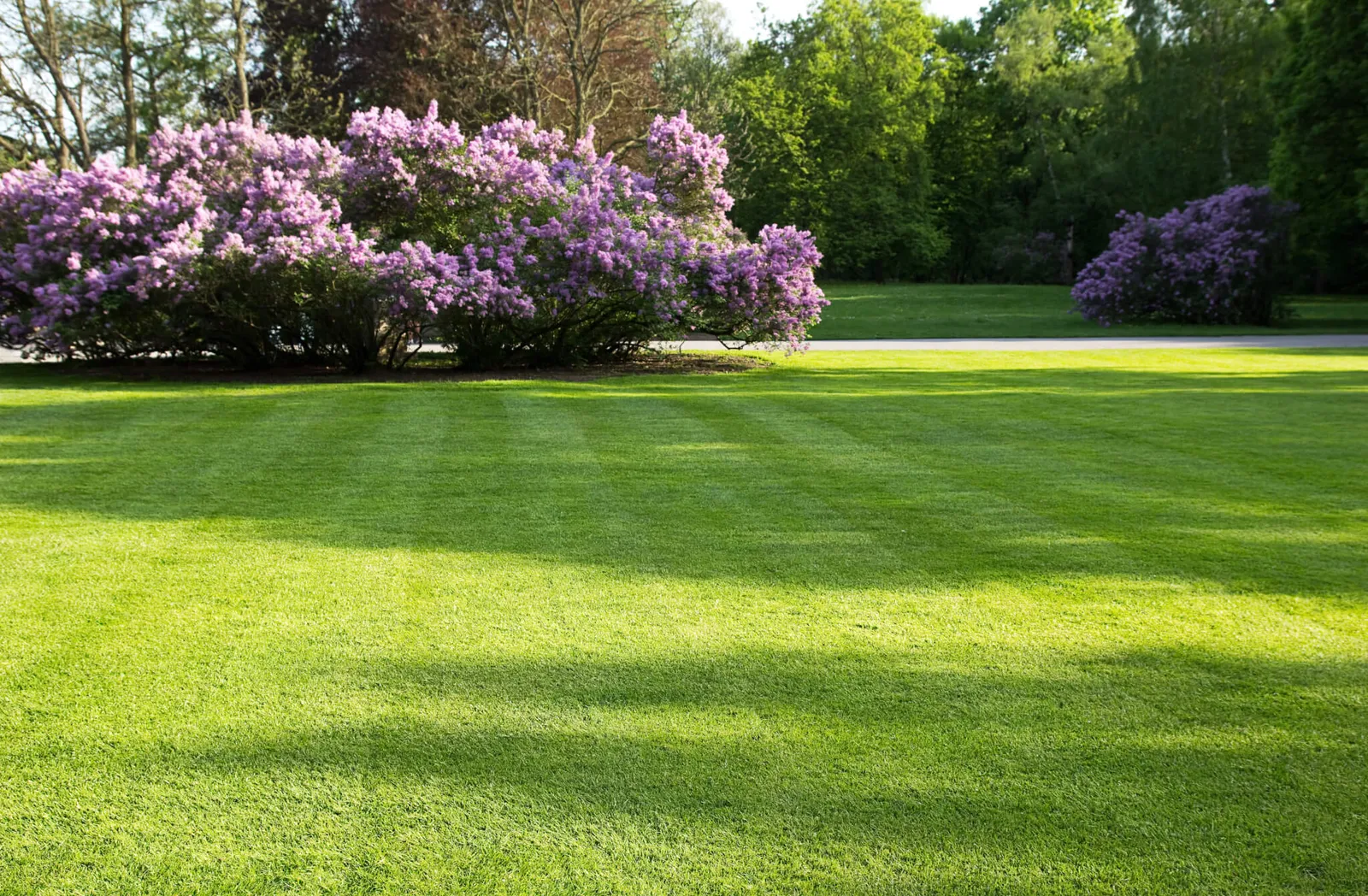 work photo from rvmlandscaping.com
