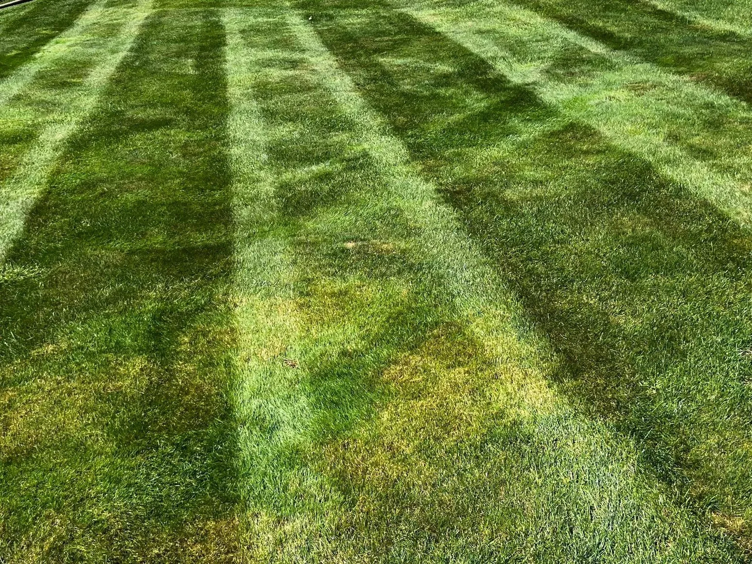 Skelley Landscaping Yard.jpg