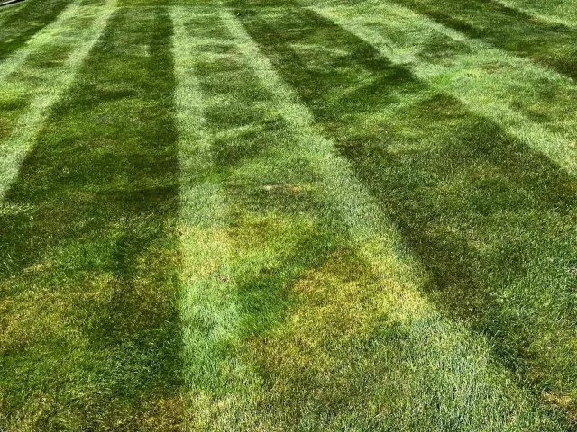 Skelley Landscaping Yard.jpg