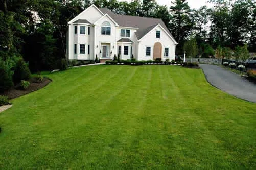 work photo from serviziolandscaping.com