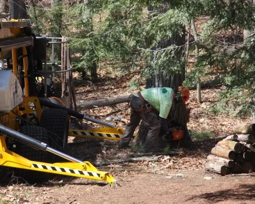 Arborist in safety gear using a chainsaw at the base of a tree, with a tracked lift and a stack of cut logs nearby in a wooded area.