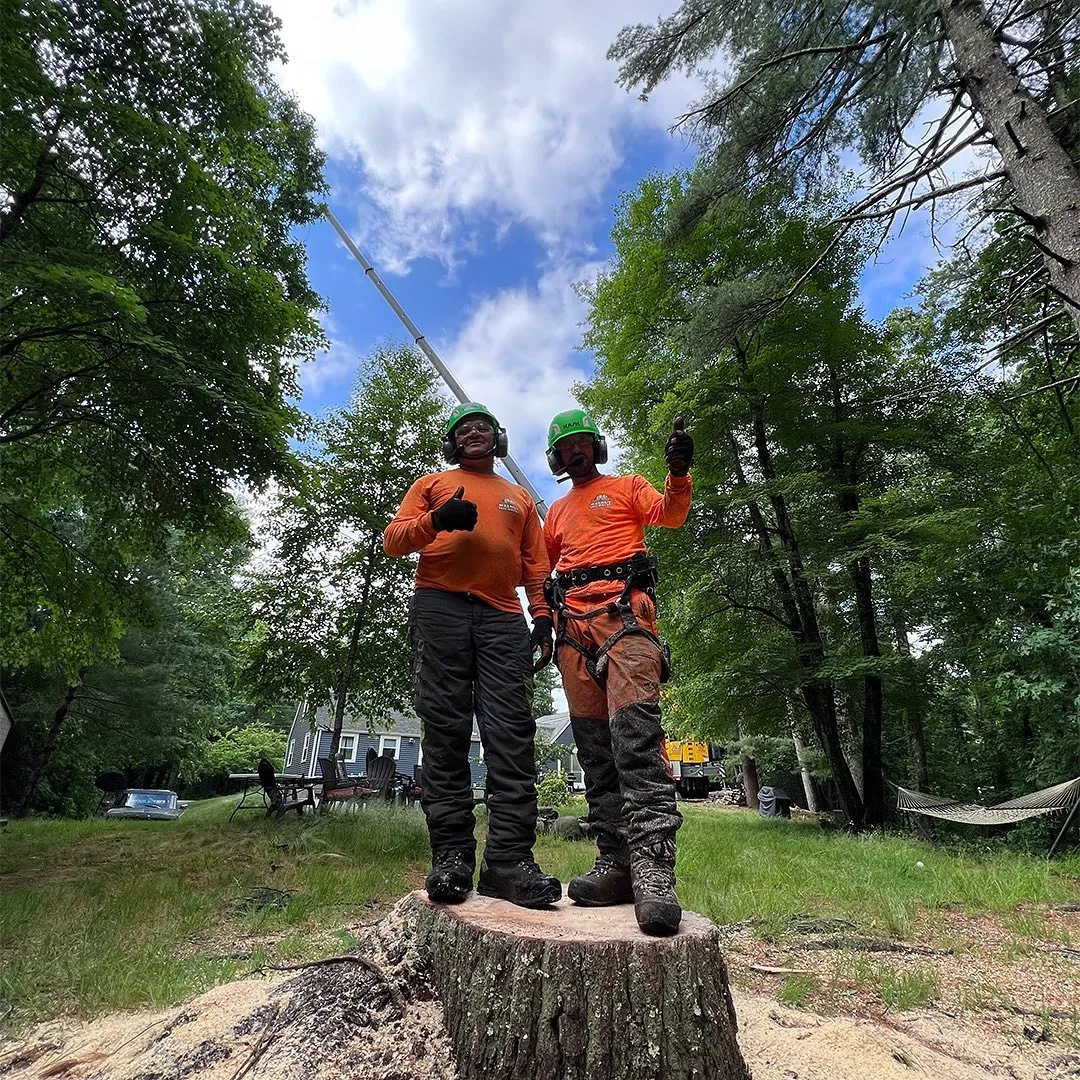 work photo from walnuttreeservice.com