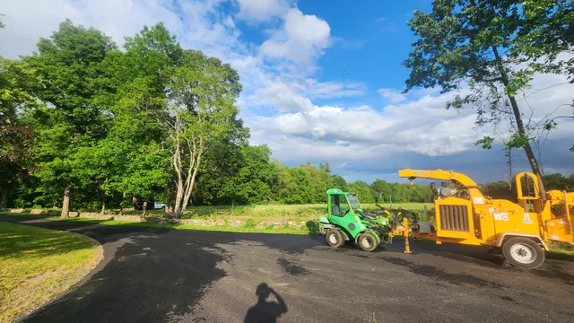 Dave's Tree Care work photo