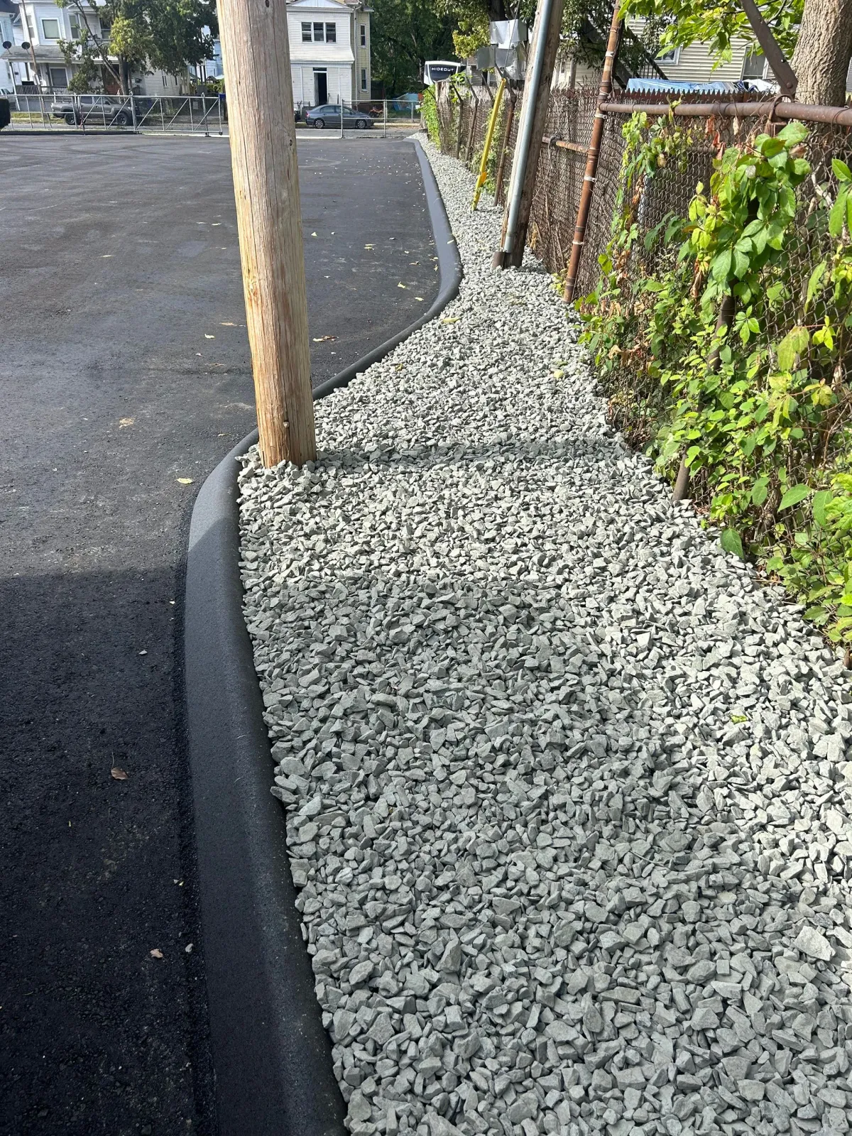 A curved asphalt curb separates a dark paved lot from a narrow bed of grey gravel and a vine-covered fence.