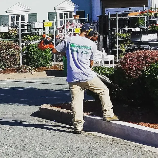 commercial-landscaping-commercial-property-management-lawn-care