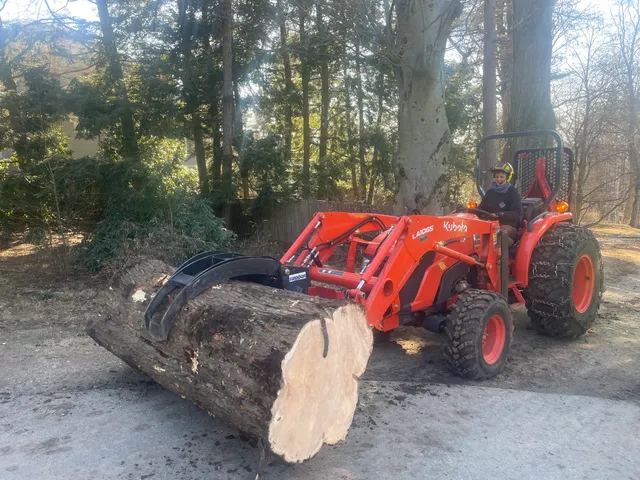 Woodsmith Forestry and Tree Service work photo