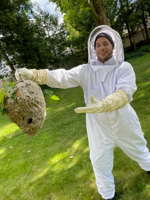 Eliminating 365 Pest Control work photo