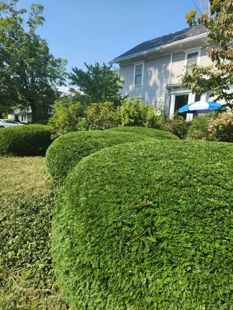 Landscaping, Easthampton Ma