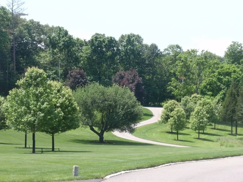 work photo from jbtreeandlandscape.com