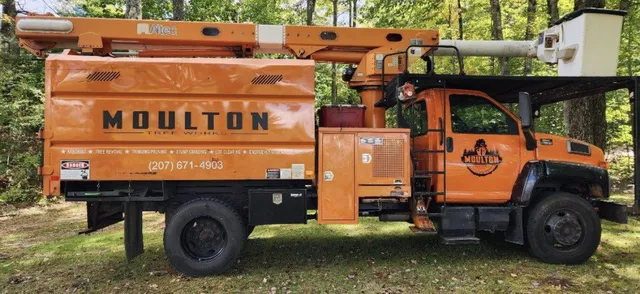 Moulton Tree Works LLC work photo