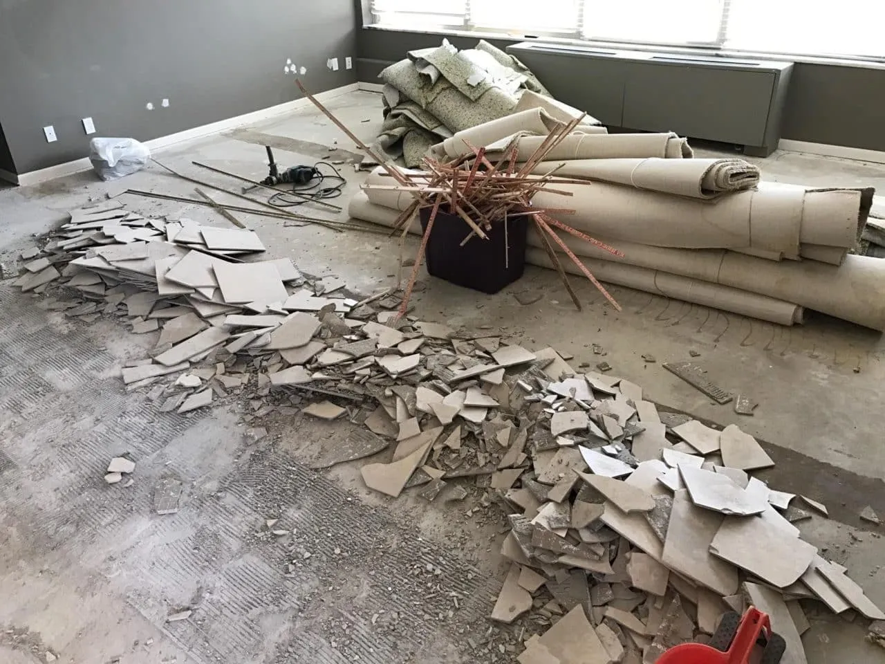 Construction Clean up