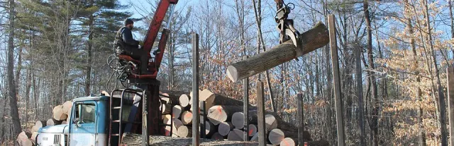 forward logging and excavation work photo