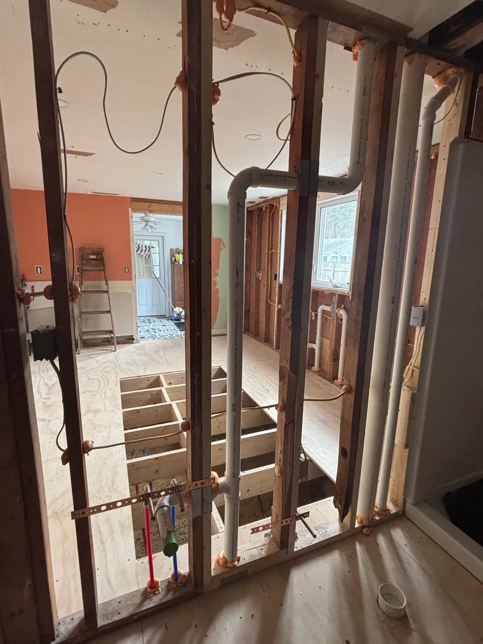 mold removal companies near me