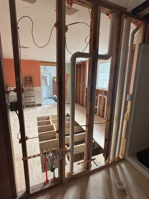 mold removal companies near me